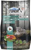 Tundra Cat trockenfutter (getreidefrei) Dinde & Wild