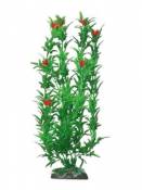 WAVE Hygrophila Plante Classique avec Fleur Rouge pour