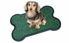 Mucky Pups réutilisables chiot tapis de formation