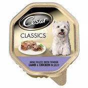 Mini Filets clasics Cesar en gelée à l'agneau et