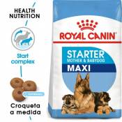 Nourriture Maxi Starter 4 KG Royal Canin