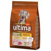2x3kg Medium / Maxi Adult bœuf Ultima Croquettes pour chien