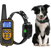 Collier de dressage pour chien avec télécommande, collier de dressage électrique rechargeable étanche pour chiens de petite et moyenne taille, avec