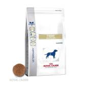 royal canin veterinary diet chien fibre response (ref:fr23)
