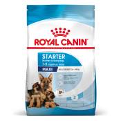 15kg Royal Canin Maxi Starter Mother & Babydog - Croquettes