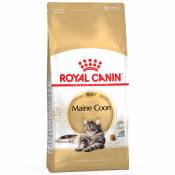2x10kg Maine Coon Royal Canin - Croquettes pour chat