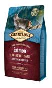 Croquettes Carnilove pour Chat Adult à Poils longs au Saumon - 2kg