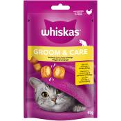 Friandises pour chat Whiskas Peau & Pelage 45 g