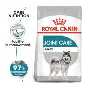 Royal Canin Maxi Joint Care - Croquettes pour chien-Maxi