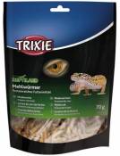 Vers de farine, déshydratés, 70 GR Trixie