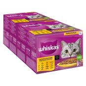 Whiskas 1+ 96 x 85 g pour chat - Sélection de volaille