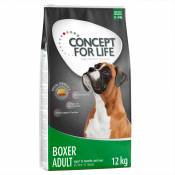 12kg Boxer Adult Concept for Life - Croquettes pour