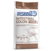 2x 4kg Active Line Intestinal Colon Phase 2 Forza 10