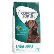 2x12kg Large Adult Concept for Life - Croquettes pour