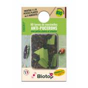 biotop - 80 larves coccinelles anti-pucerons - coccifly