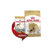 Royal Canin - Nourriture que allemand berger des chiens de race adulte des chiens allemand berger adulte et mature (љ partir de 15 mois) - 11kg
