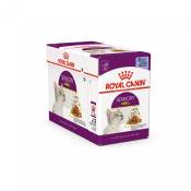 Royal Canin Sensory Smell-Royal Canin