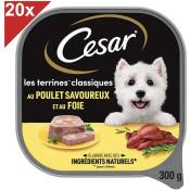 Cesar - Barquette poulet en terrine pour chien (20x300g)