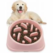 Gamelles pour chiens à alimentation lente Gamelle pour chiens Gamelle lente pour éviter l'étouffement et la suralimentation, bol anti-dérapant pour