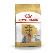 Royal Canin - Alimentation Chien York 3Kg