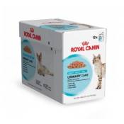 Royal Canin - Sachets Urinary Care en Gelée pour Chat - 12x85g