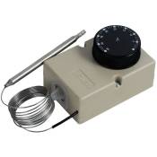 Thermostat analogique 16A