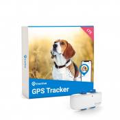 Traceur GPS 4 pour chien