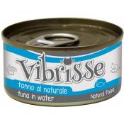Vibrisse - 24 boîtes de 70 g chacune: Cat thon naturel