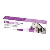 Hifarmax - Omnimatrix - CrЏme pour le traitement et la rgnration des plaies ou des blessures љ la peau chez les chiens, les chats et les chevaux