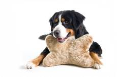 Karlie 45879 Coussin anti-stress en peluche pour chien