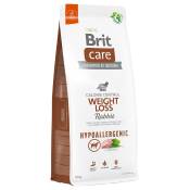 Lot Brit Care - Hypoallergenic Weight Loss lapin (2 x 12 kg)