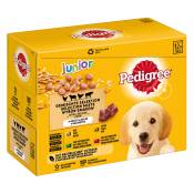 Multipack Pedigree pour chien 40 x 100 g + 8 x 100 g offerts ! - Junior : 4 saveurs en gelée (12 x 100 g)
