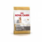 Royal Canin Yorkshire Terrier adult.
