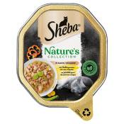 44x85g Sheba Nature's Collection in Sauce poulet -