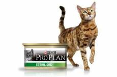 Purina ProPlan pour chat sterilis 18x85g + 6 gratuit