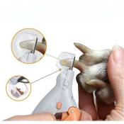Tigrezy - Ciseaux à ongles professionnels pour animaux