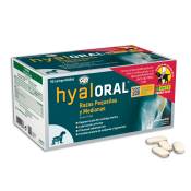 Hyaloral Chien Petite/Moyenne Race 90 Comprimés - Compléments Hyaloral pour chien