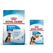Pack bi-nutrition : croquettes + sachets Royal Canin