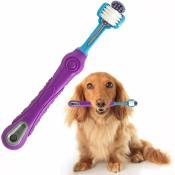 Brosse à dents pour animaux de compagnie, brosse à dents à trois têtes avec poignée antidérapante, nettoyage des dents pour chiens et chats (violet)