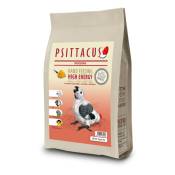 Psittacus - Papilla alta energia 5 kg