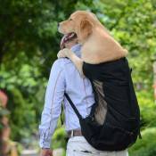 Ineasicer - Sac de transport réglable pour chien en maille respirante pour chiots et chiens de plein air Sac à dos de voyage pour la randonnée et le