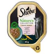 44x85g Sheba Nature's Collection in Sauce saumon - Pâtée pour chat