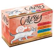 48x100g Catessy Lot mixte Bouchées en gelée Bœuf/canard/saumon/poulet Boîtes pour chat