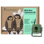 Green Feathers - Caméra wifi pour Nichoir à oiseaux (avec cable 10 m inclus)
