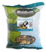 Bradium Perroquets avec Fruit 720 Gr. Environ 720 GR
