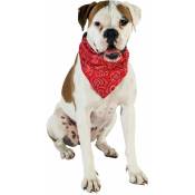 Doogy Classic - Collier chien bandana star rouge Taille : T4