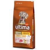 2x12kg Medium / Maxi Adult bœuf Ultima Croquettes pour chien