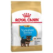 3x1,5kg Yorkshire Terrier Puppy Royal Canin Breed -