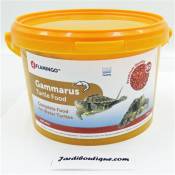 Gammarus, seau 3 Litres, aliment naturel pour tortue