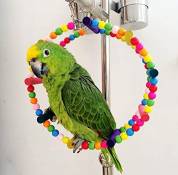 ZHANGQUAN QYPT Petstages Pet Supplies Jouets Parrot